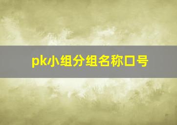 pk小组分组名称口号