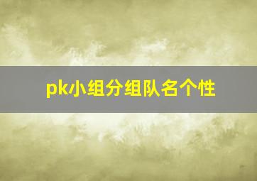 pk小组分组队名个性