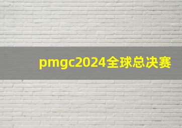 pmgc2024全球总决赛