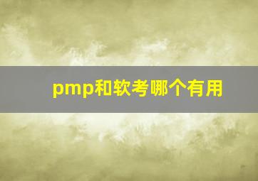 pmp和软考哪个有用