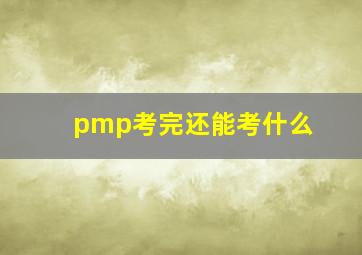 pmp考完还能考什么