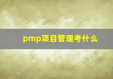 pmp项目管理考什么