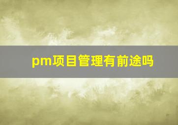 pm项目管理有前途吗