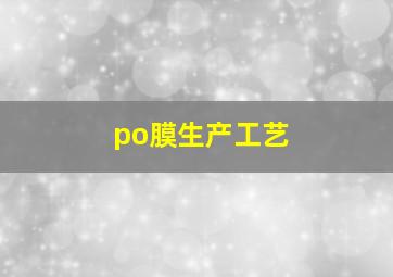 po膜生产工艺