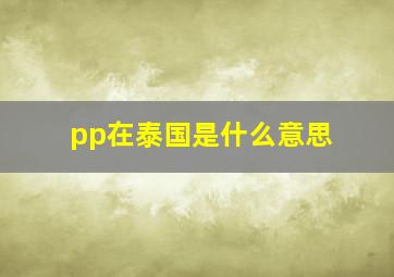 pp在泰国是什么意思