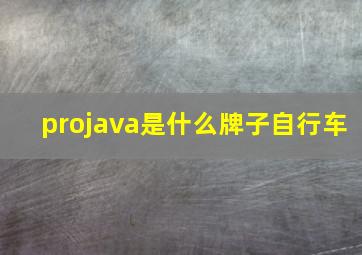 projava是什么牌子自行车