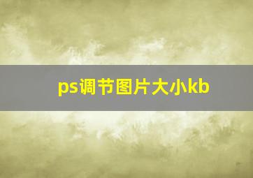 ps调节图片大小kb