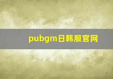 pubgm日韩服官网