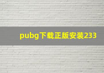 pubg下载正版安装233