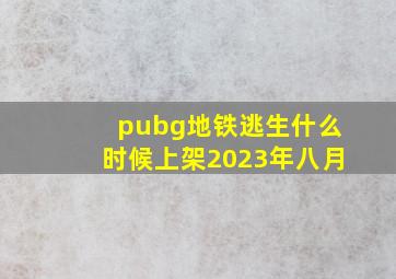 pubg地铁逃生什么时候上架2023年八月