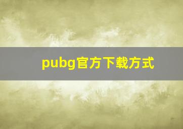 pubg官方下载方式