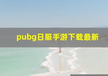 pubg日服手游下载最新