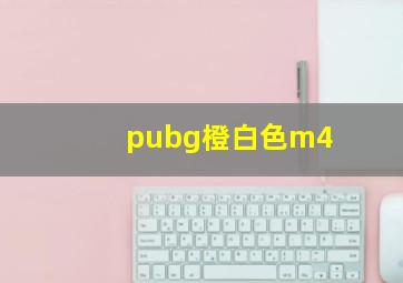 pubg橙白色m4