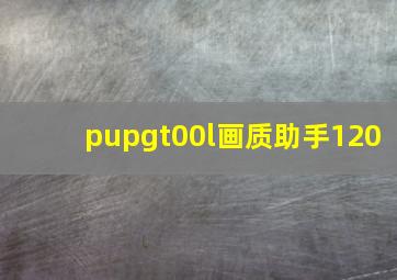 pupgt00l画质助手120