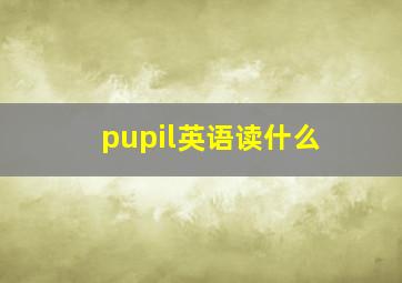 pupil英语读什么