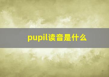 pupil读音是什么