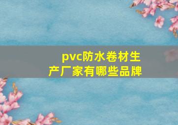 pvc防水卷材生产厂家有哪些品牌