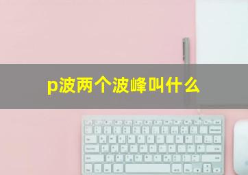 p波两个波峰叫什么