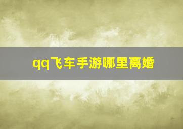 qq飞车手游哪里离婚