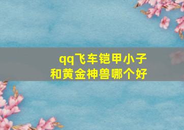 qq飞车铠甲小子和黄金神兽哪个好