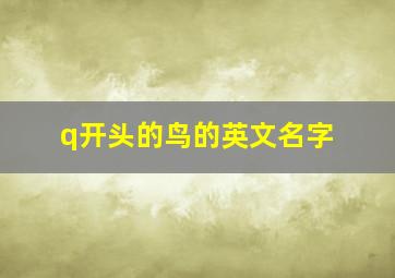 q开头的鸟的英文名字