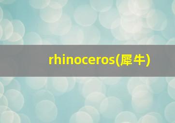 rhinoceros(犀牛)