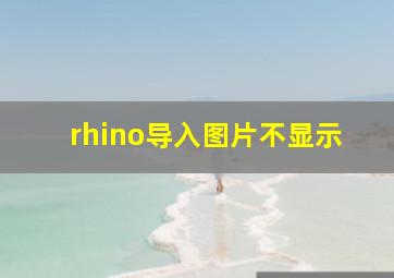 rhino导入图片不显示