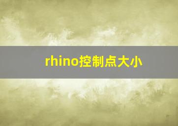 rhino控制点大小