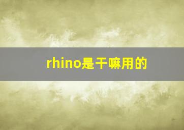 rhino是干嘛用的