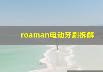 roaman电动牙刷拆解