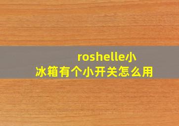 roshelle小冰箱有个小开关怎么用