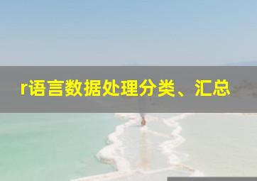 r语言数据处理分类、汇总