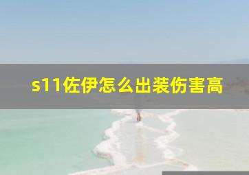 s11佐伊怎么出装伤害高