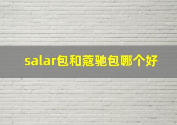 salar包和蔻驰包哪个好