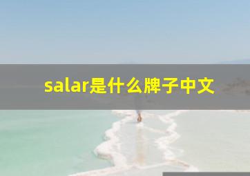 salar是什么牌子中文