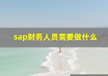 sap财务人员需要做什么