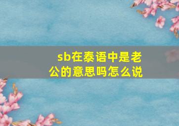 sb在泰语中是老公的意思吗怎么说