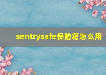 sentrysafe保险箱怎么用