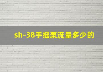 sh-38手摇泵流量多少的