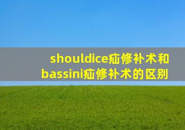 shouldice疝修补术和bassini疝修补术的区别