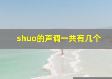 shuo的声调一共有几个