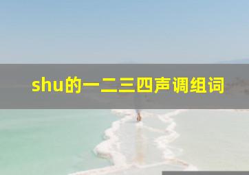 shu的一二三四声调组词