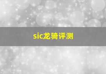 sic龙骑评测