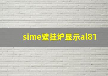 sime壁挂炉显示al81