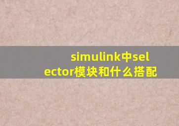 simulink中selector模块和什么搭配