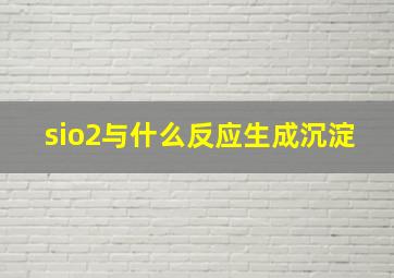 sio2与什么反应生成沉淀