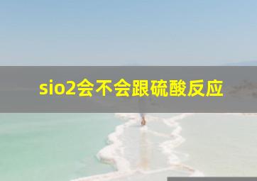 sio2会不会跟硫酸反应