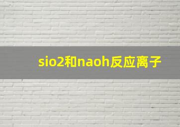 sio2和naoh反应离子