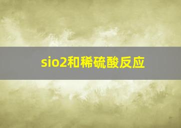 sio2和稀硫酸反应