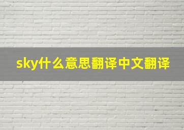 sky什么意思翻译中文翻译